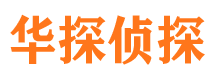 青阳侦探公司